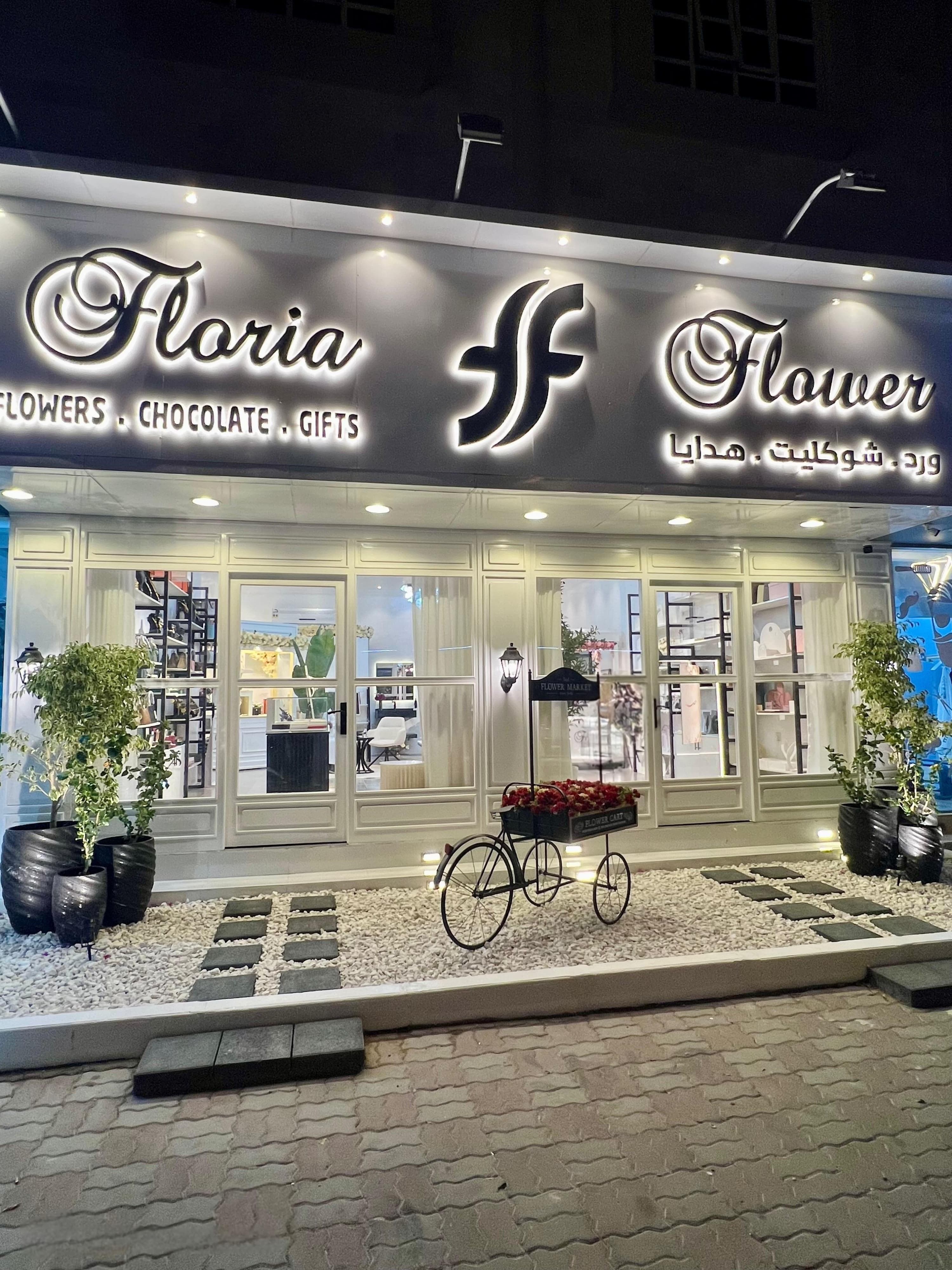 KATACHI Studio - Elegant interior with sage green walls and terracotta furniture overlooking surreal landscape